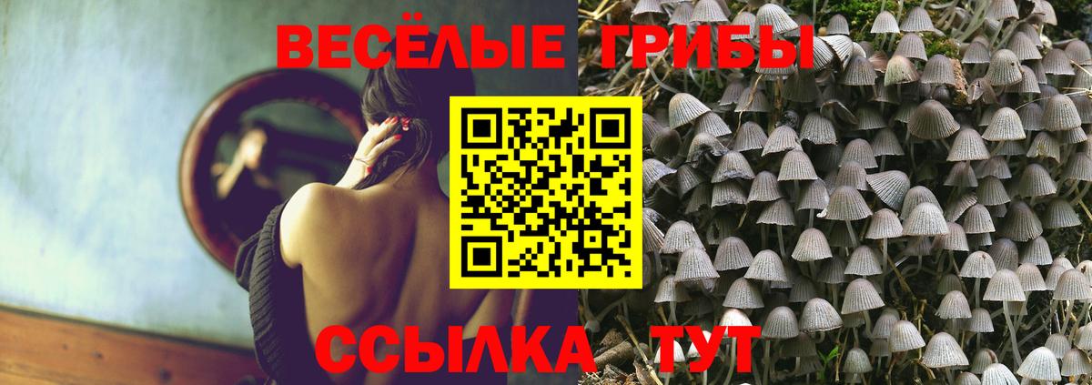 Псилоцибиновые грибы прущие грибы  Вход с VPN  Якутск 