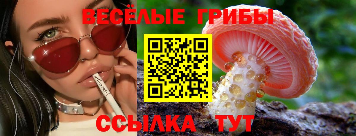 Галлюциногенные грибы Cubensis Якутск